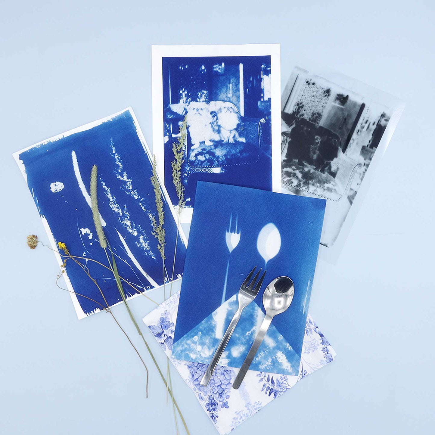 DIY Cyanotype kit - Paper