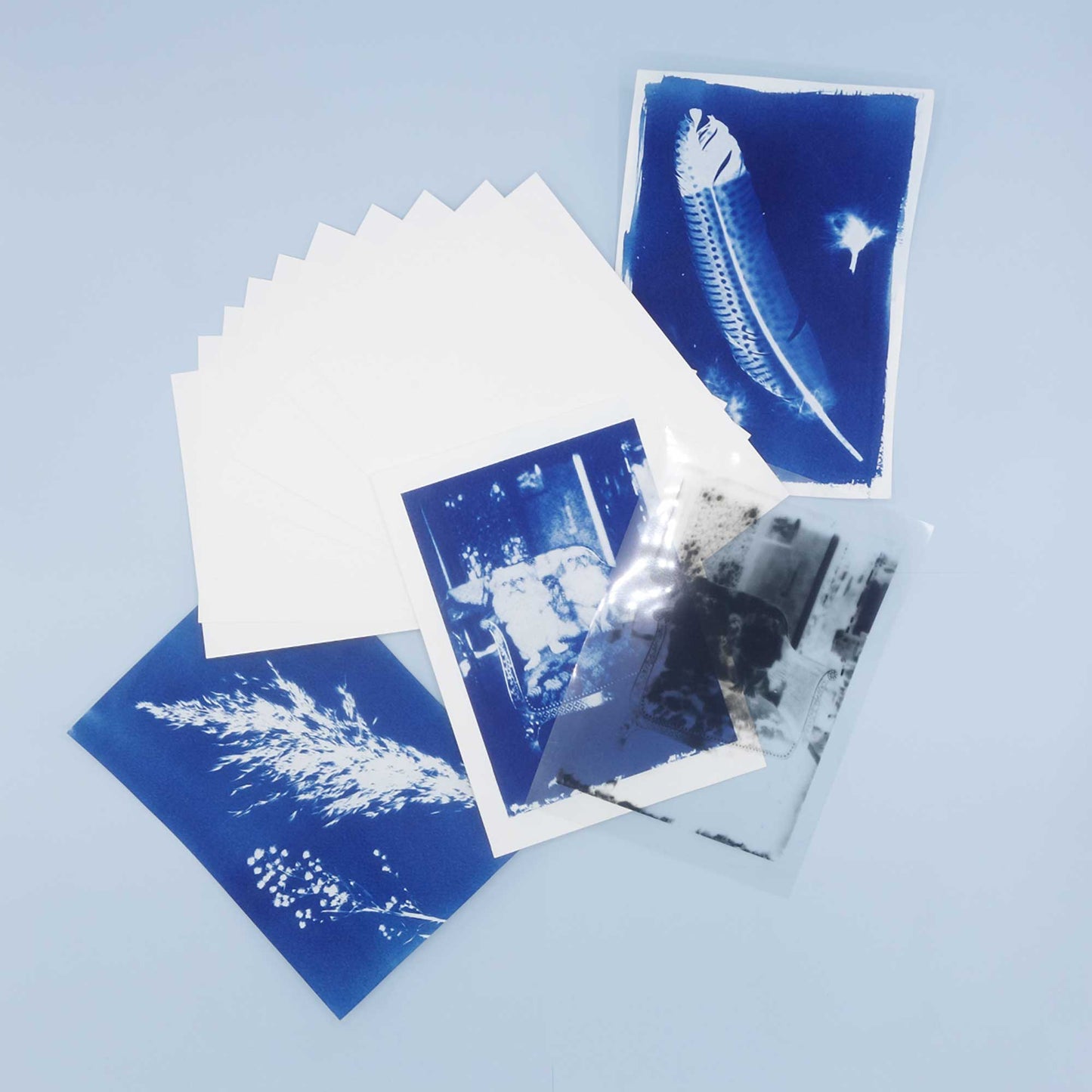 DIY Cyanotype kit - Paper