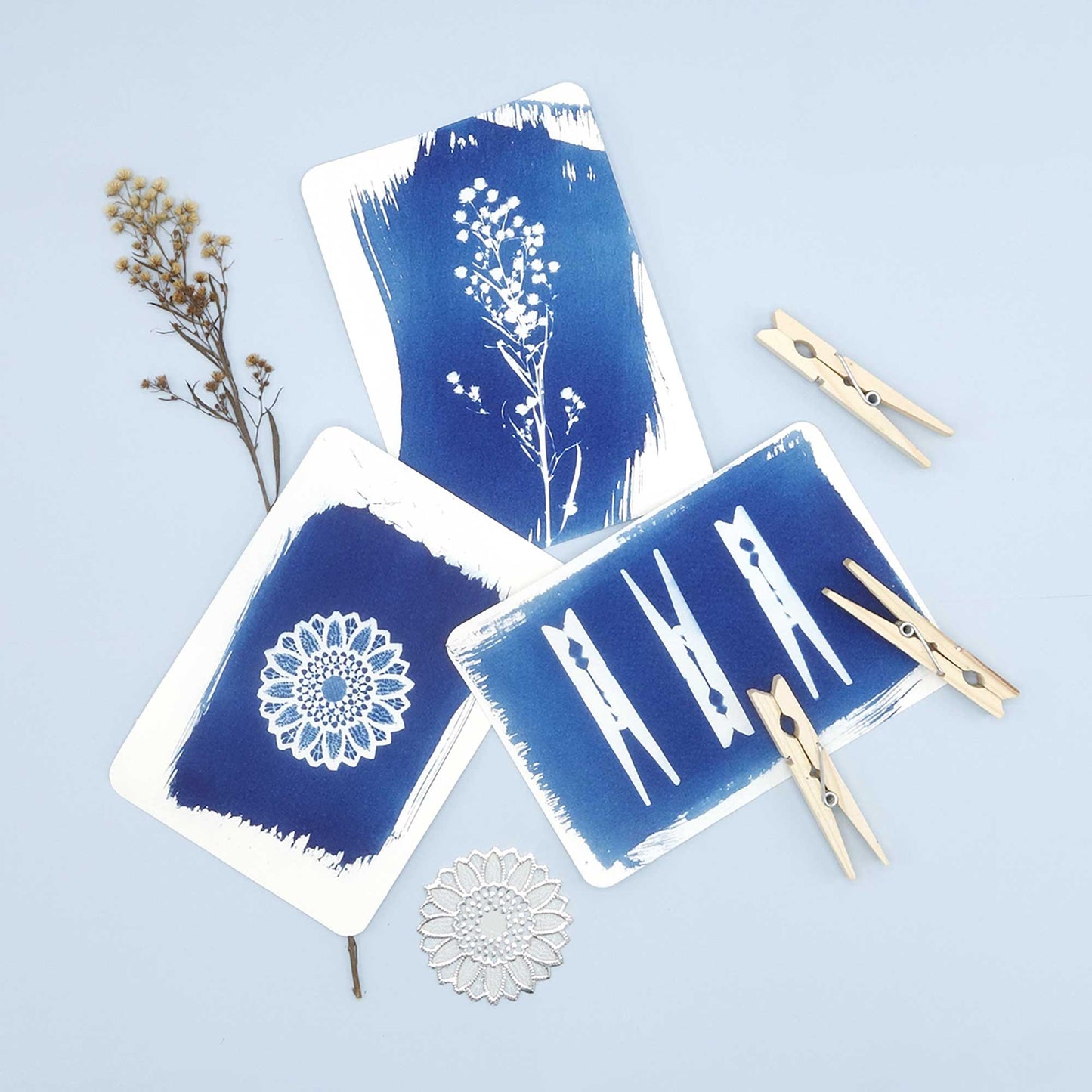 DIY Cyanotype kit - Postcard