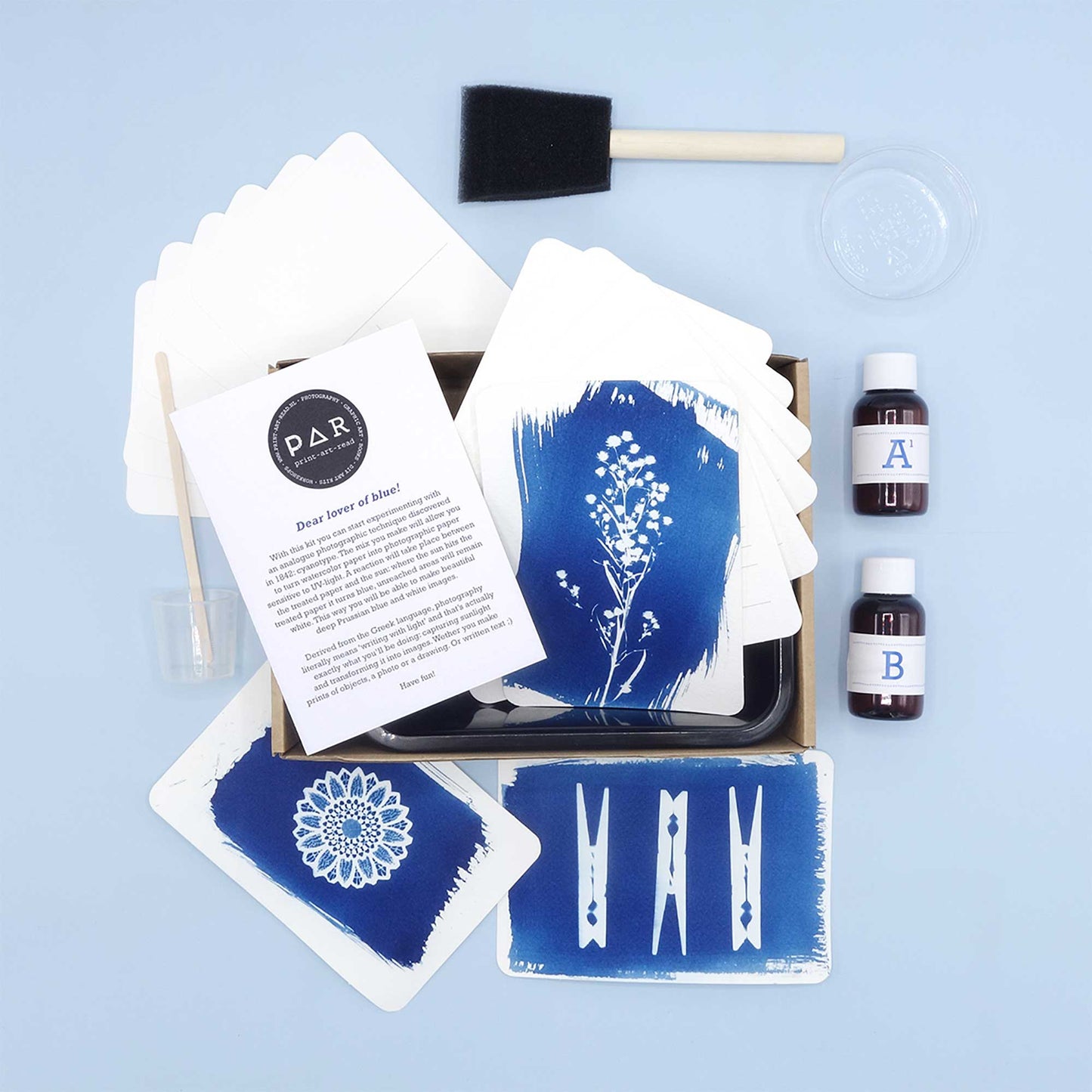 DIY Cyanotype kit - Postcard