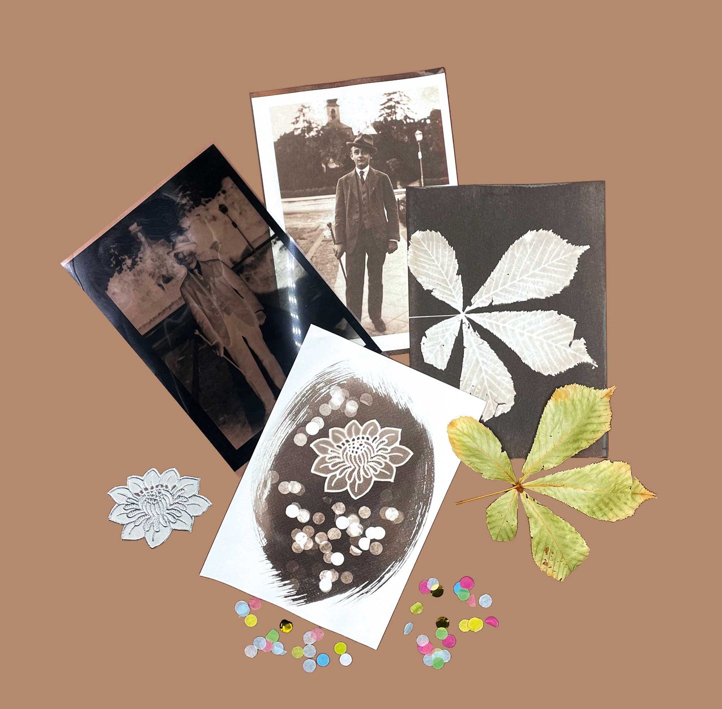 DIY Cyanotype & Van Dyke kit