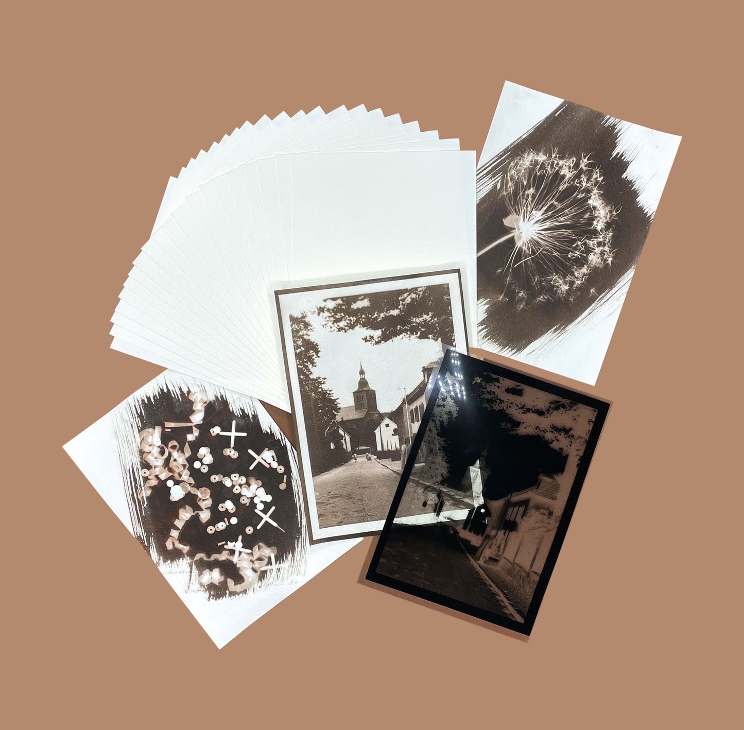 DIY Cyanotype & Van Dyke kit