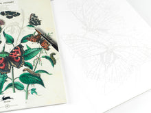 Load image into Gallery viewer, The Pepin Press Litabók - Náttúrusaga
