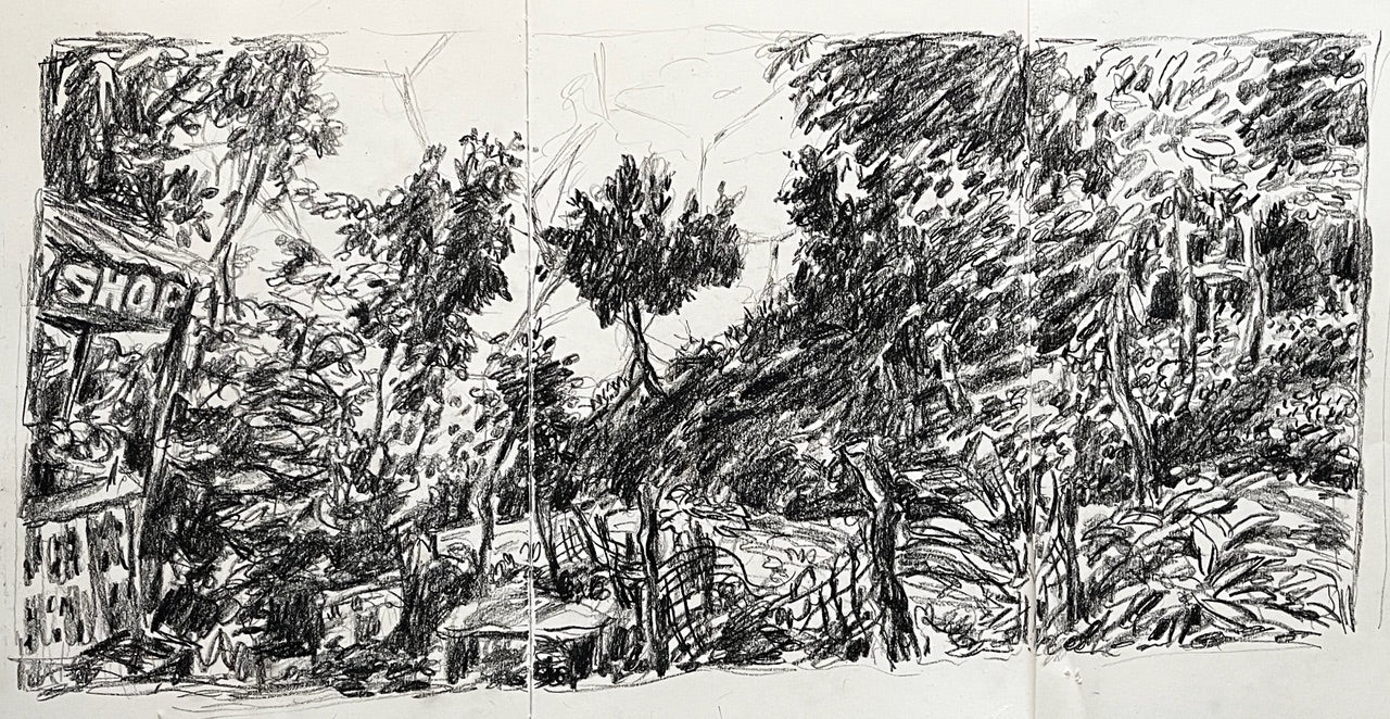 Hraðanámskeið - Teikning - persónuleg og tilraunakennd - Áhöld, tækni og æfing með Cindy [05.11-26.11.2025]