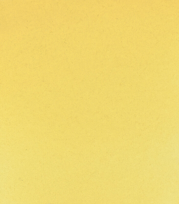 Vatnslitir HORADAM® AQUARELL - gulur og appelsínugulur