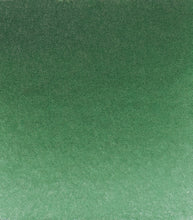 Load image into Gallery viewer, Vatnslitir HORADAM® AQUARELL - grænn
