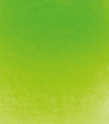 Vatnslitir HORADAM® AQUARELL - grænn