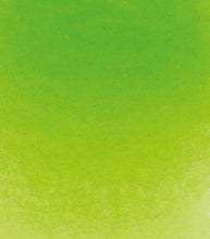 Load image into Gallery viewer, Vatnslitir HORADAM® AQUARELL - grænn
