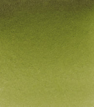 Load image into Gallery viewer, Vatnslitir HORADAM® AQUARELL - grænn
