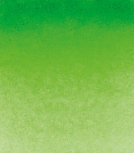 Load image into Gallery viewer, Vatnslitir HORADAM® AQUARELL - grænn
