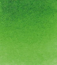 Load image into Gallery viewer, Vatnslitir HORADAM® AQUARELL - grænn
