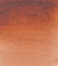 Load image into Gallery viewer, Vatnslitir HORADAM® AQUARELL - brúnn
