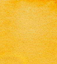 Load image into Gallery viewer, Vatnslitir HORADAM® AQUARELL - brúnn

