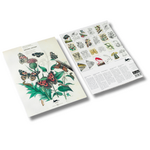 Load image into Gallery viewer, The Pepin Press Litabók - Náttúrusaga

