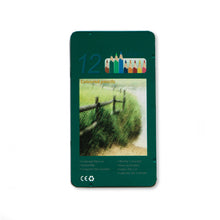 Load image into Gallery viewer, Trélitir COLORE - Sett 12 stk
